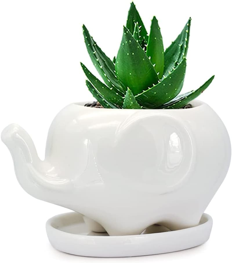 Ceramic Elephant Succulent Planter for Indoor Decor