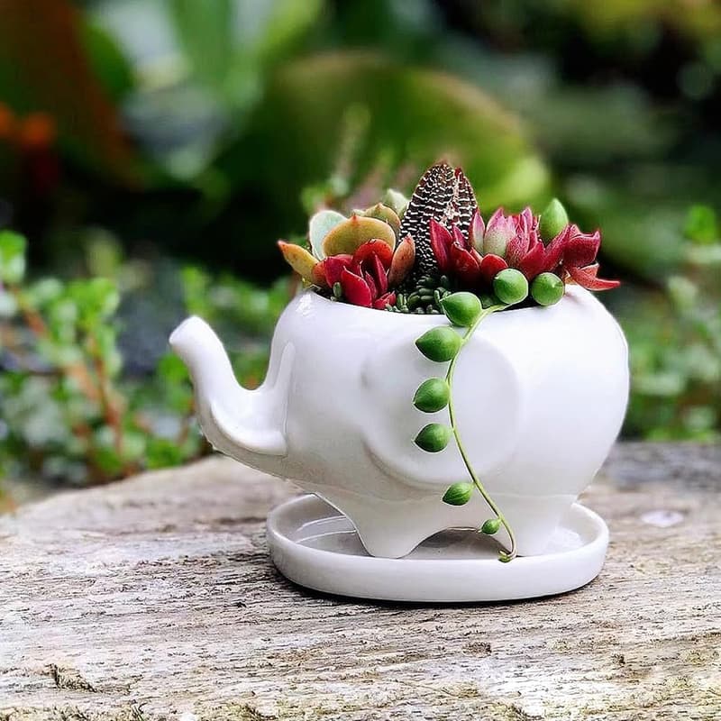 Ceramic Elephant Succulent Planter for Indoor Decor