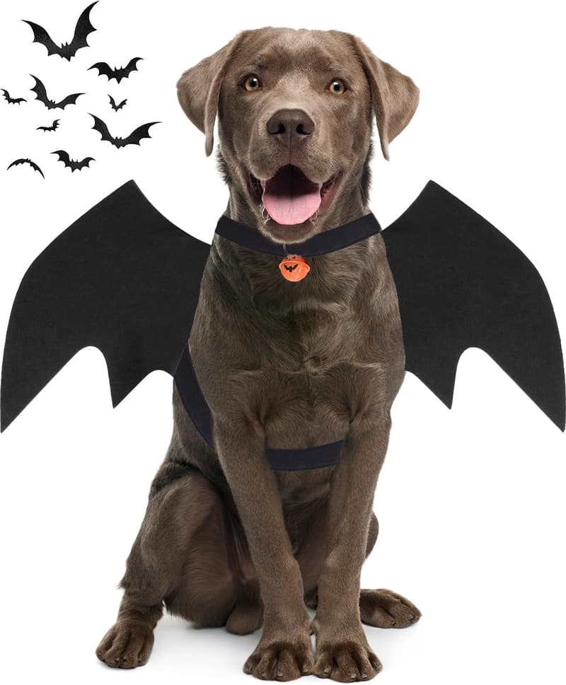 Medium Dog Bat Wings Costume with Pumpkin Bell for Halloween