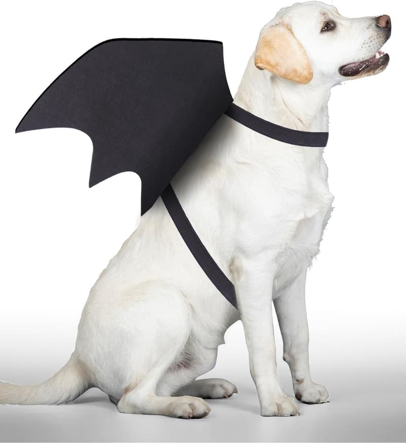 Medium Dog Bat Wings Costume with Pumpkin Bell for Halloween