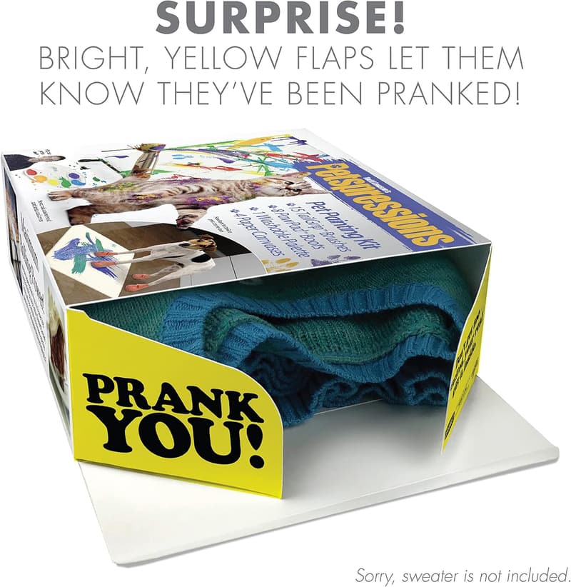 Birthday Prank Box - Hilarious Fake Packaging Gag Gift