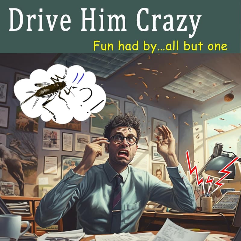 Hidden Cricket Noise Maker Prank (3 PCS) - Beeping Fun