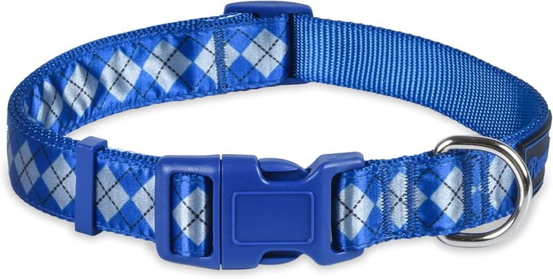 Ravenclaw Dog Collar for Small Dogs | Harry Potter Pet Accessories
