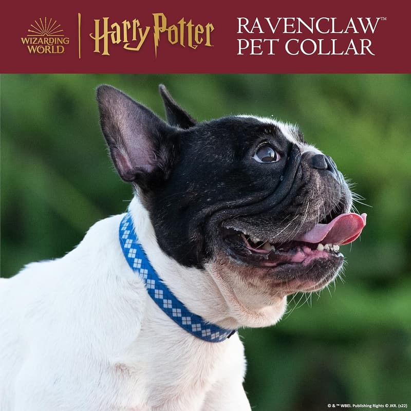 Ravenclaw Dog Collar for Small Dogs | Harry Potter Pet Accessories
