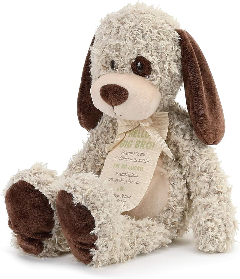 Big Brother Plush Puppy Toy - Soft 13
