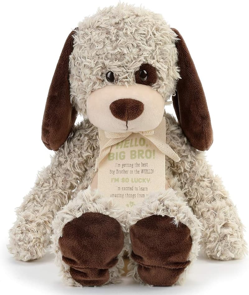 Big Brother Plush Puppy Toy - Soft 13