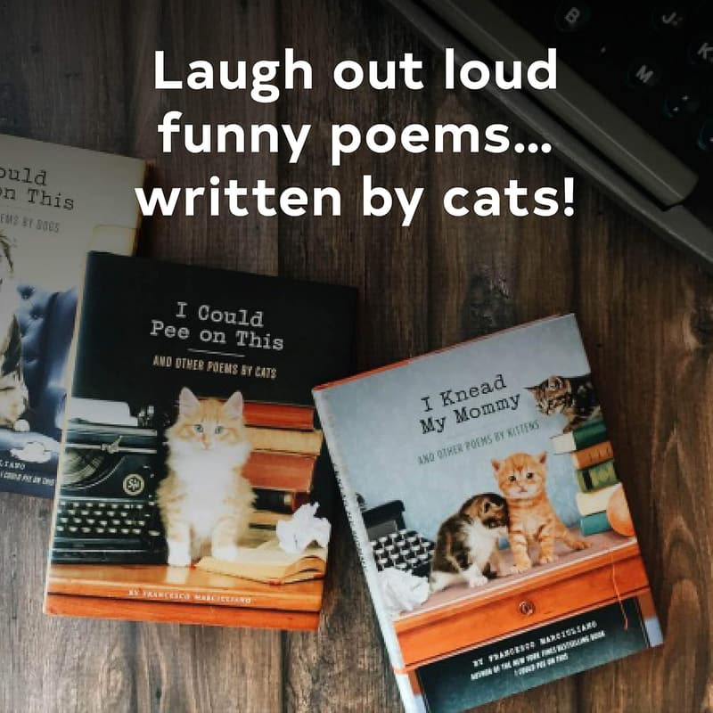 Funny Poems for Cat Lovers: 