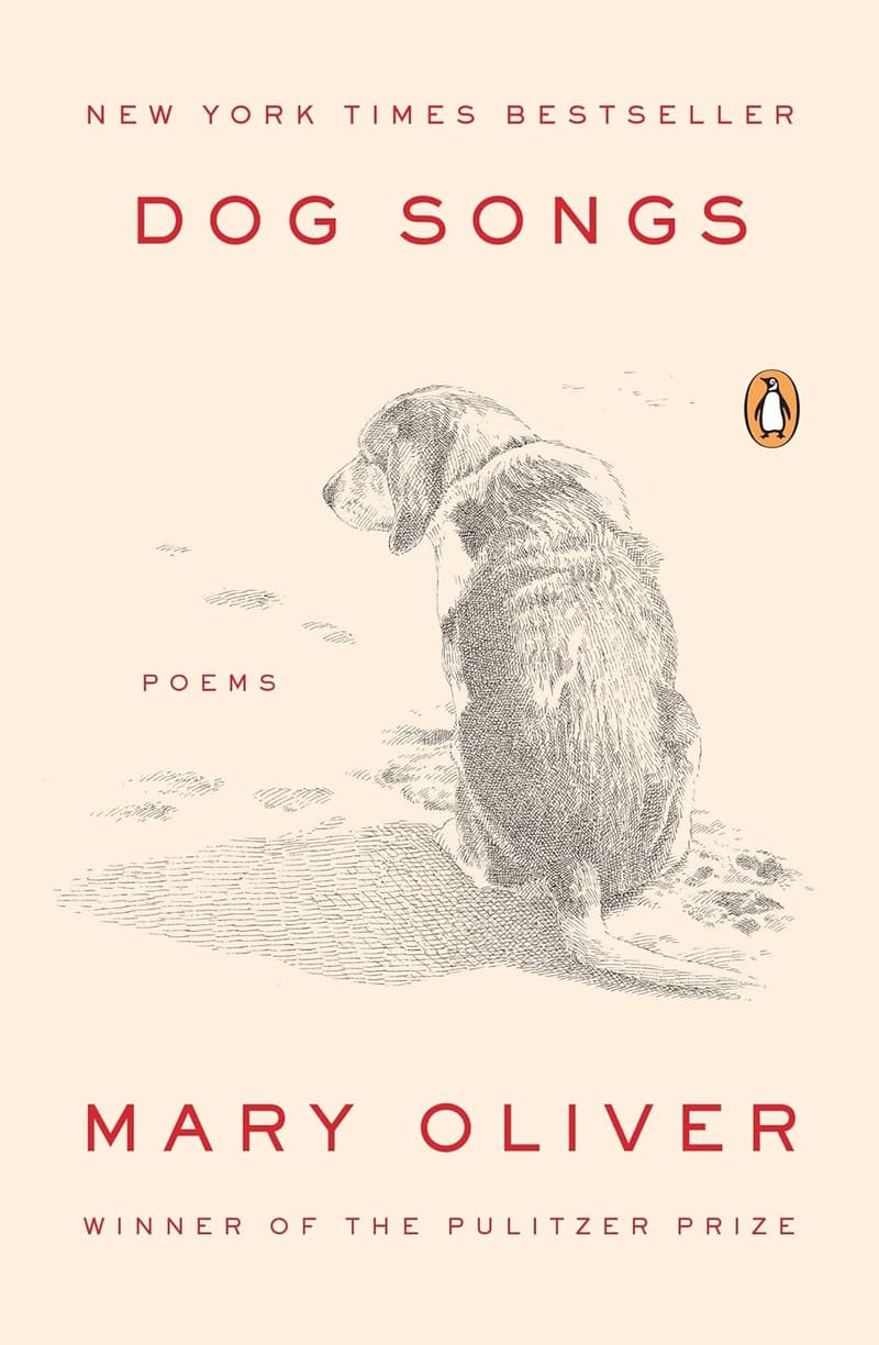 Dog-Themed Poetry Collection: Heartfelt Poems for Pet Lovers
