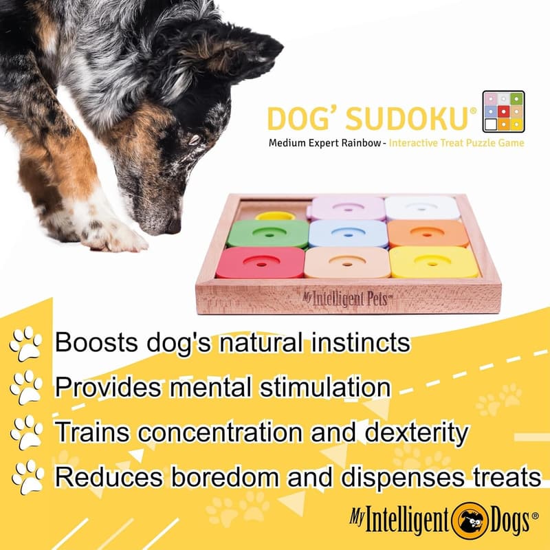 Medium Pet Brain Toy - Interactive Sudoku Puzzle with 9 Treat Hiding Holes