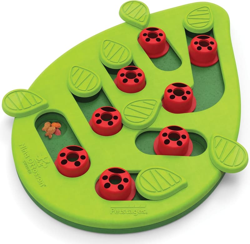 Interactive Treat Puzzle Cat Toy - Catstages Buggin' Out