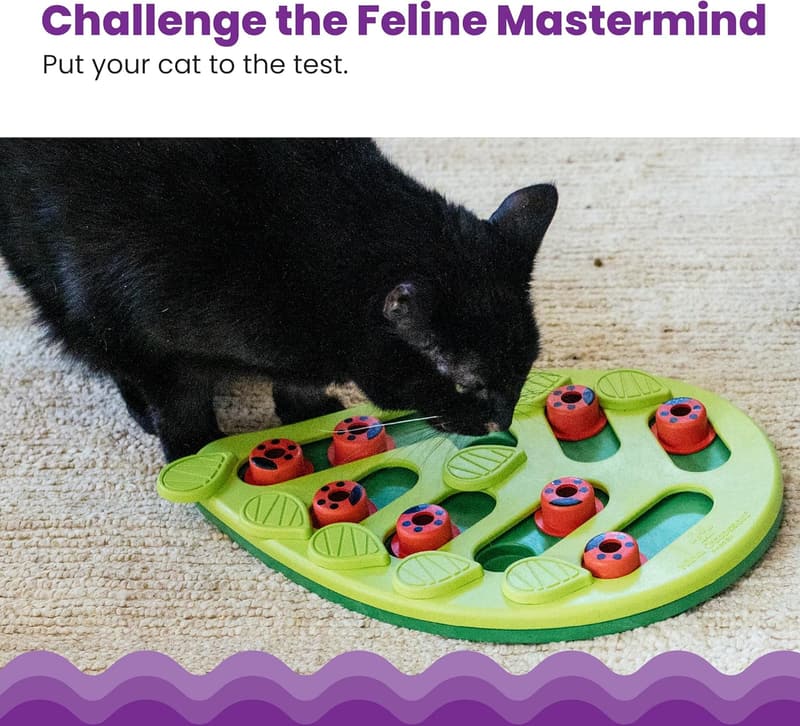 Interactive Treat Puzzle Cat Toy - Catstages Buggin' Out