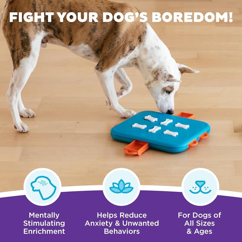 Outward Hound Dog Casino Puzzle Toy, Level 3, Turquoise