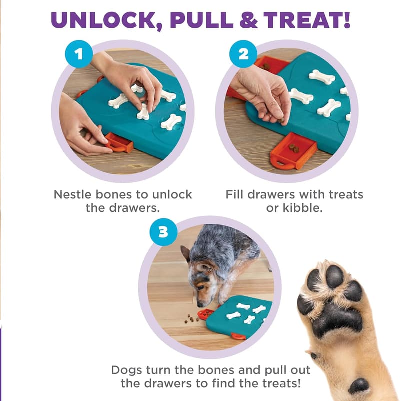 Outward Hound Dog Casino Puzzle Toy, Level 3, Turquoise