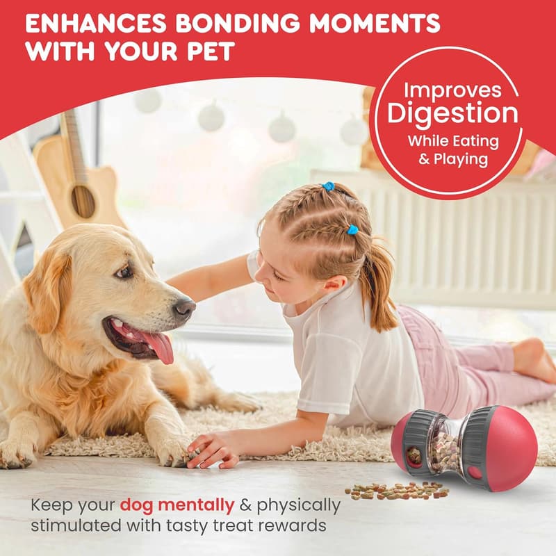 Dog Puzzle Toy for Mental Stimulation and Training - Durable Fun