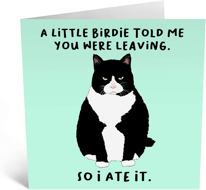 Funny Retirement Card - 'A Little Birdie…You Were Leaving'