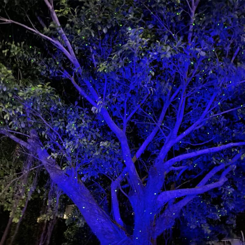 Garden Star Projector Laser Lights for Outdoor Decor