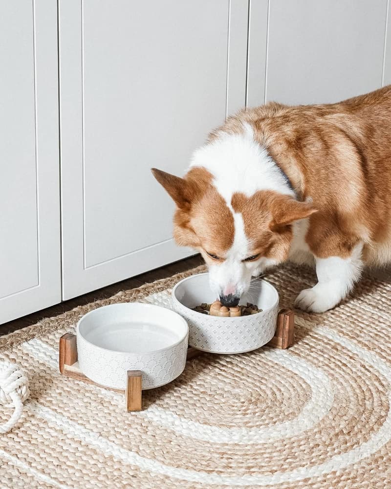 Ceramic Dog Bowls Set with Acacia Stand - Non-Slip Elevated 3-Cup