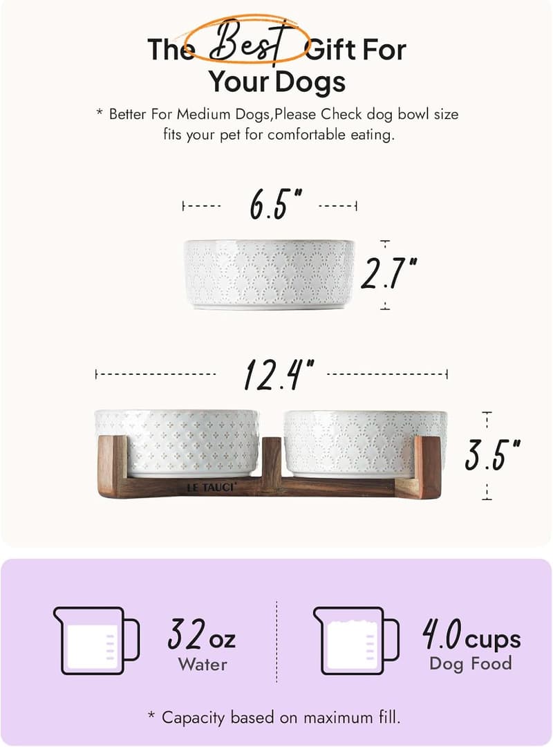 Ceramic Dog Bowls Set with Acacia Stand - Non-Slip Elevated 3-Cup