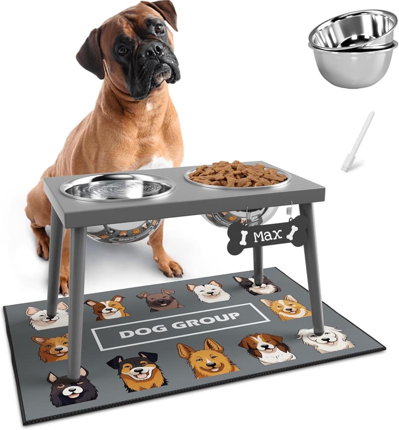Elevated Dog Bowl Stand with 58oz Stainless Steel Bowls - Gray