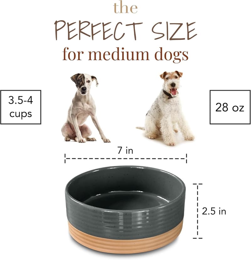 Medium Ceramic Pet Bowl - 28oz Food/Water Dish for Dogs & Cats