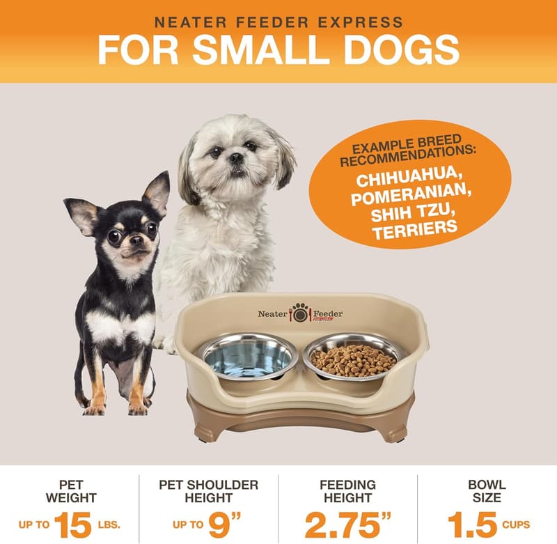 Mess-Proof Elevated Dog Bowls for Small Breeds – Stainless Steel Set