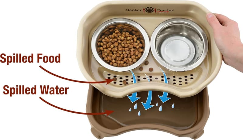 Mess-Proof Elevated Dog Bowls for Small Breeds – Stainless Steel Set