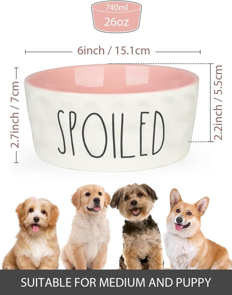 Extra Large 27oz Ceramic Dog Bowl - Non-Slip Pink Feeder