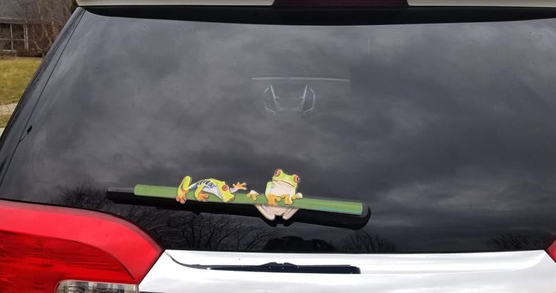 Red Eye Tree Frog Wiper Covers for Rear Wipers
