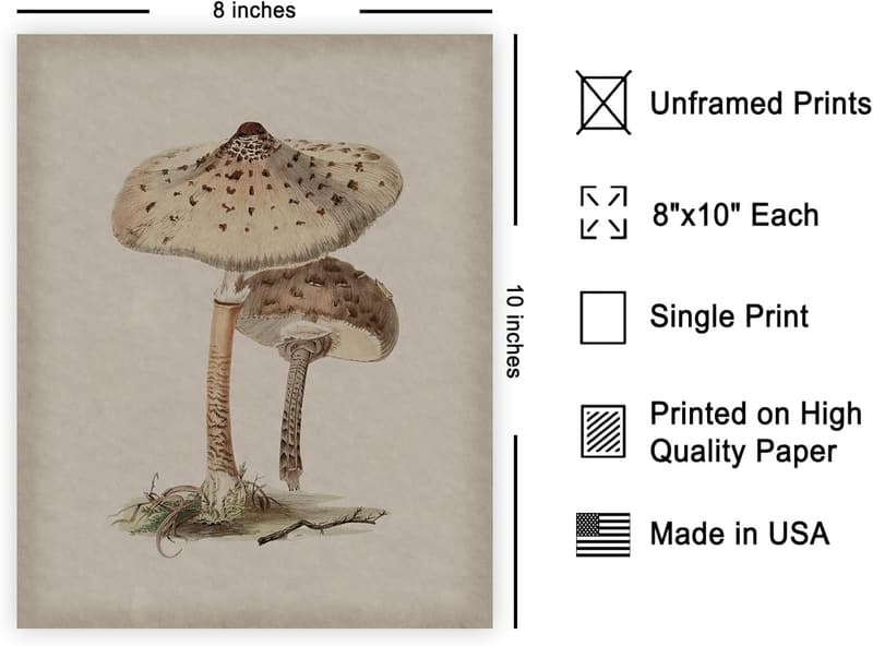 Vintage Mushroom Poster - Retro Botanical Art - 8x10 Unframed Decor