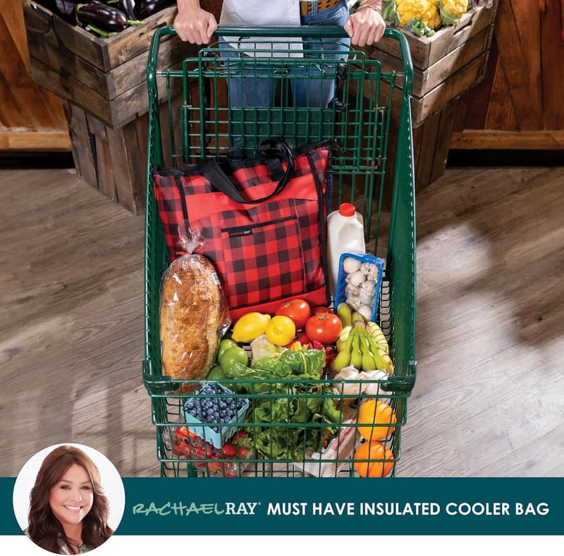 Rachael Ray Portable Leak-Proof Insulated Cooler Bag