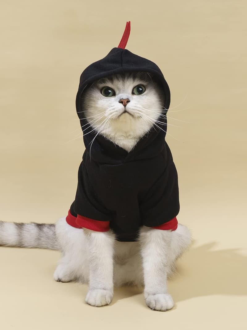 Christmas Dinosaur Hoodie for Small Dogs and Cats - Warm Jacket