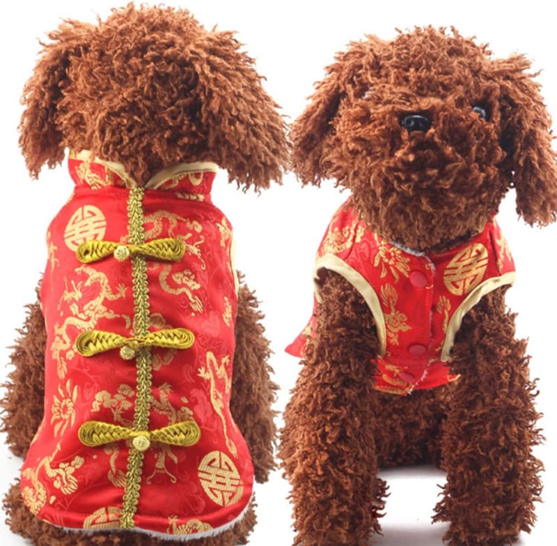New Year Dragon Cheongsam for Small Dogs and Cats