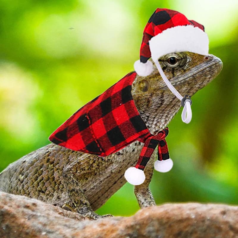 Christmas Bearded Dragon Costume Set with Hats & Bandanas