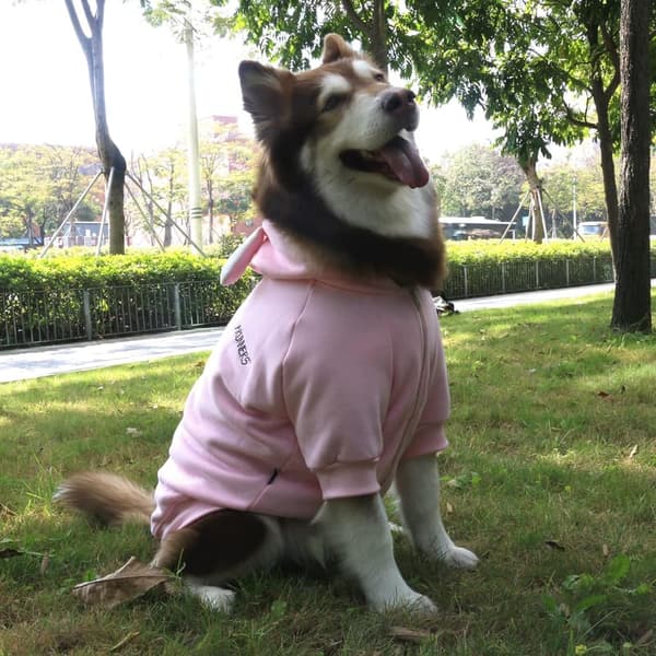 Extra Large Pink Dog Bunny Costume for Easter and Halloween