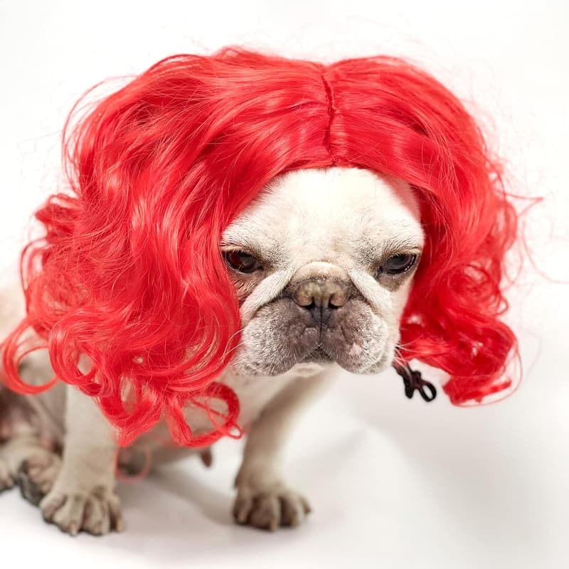 Halloween Pet Cosplay Wig for Dogs and Cats - Wine Red