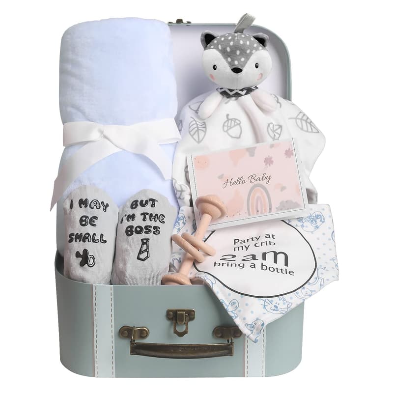 Newborn Baby Boy Gift Basket with Blanket, Bibs & Card