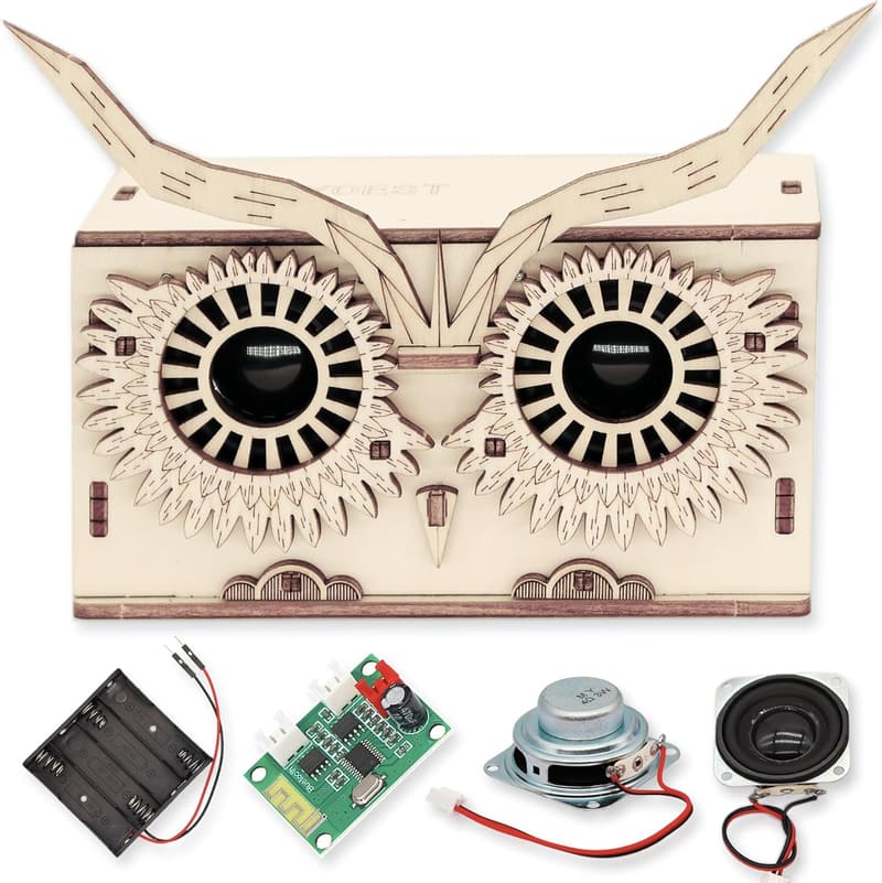 DIY Bluetooth Speaker Kit for Kids Ages 8-16 – STEM Project Gift
