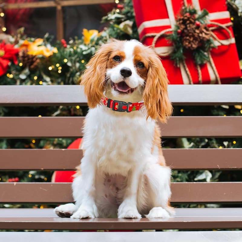 Christmas Floral Adjustable Dog Collar for Small to Large Dogs