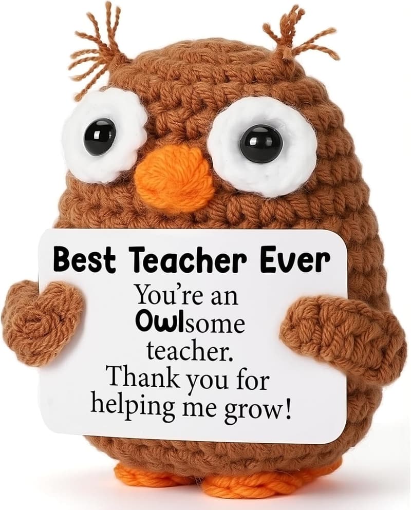 Teacher Appreciation Gift - Funny Crochet Owl for Educators