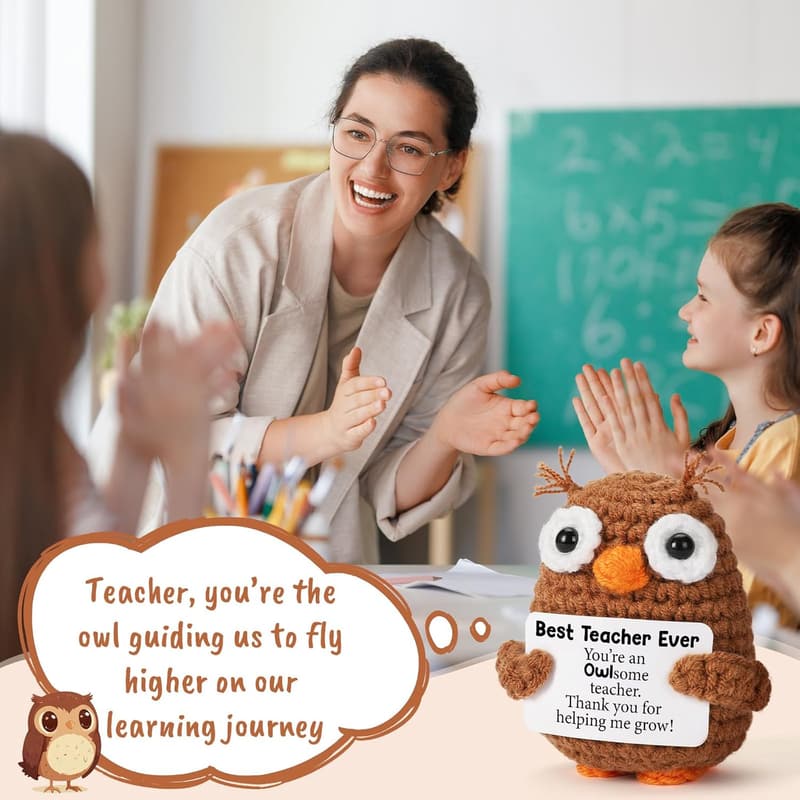 Teacher Appreciation Gift - Funny Crochet Owl for Educators