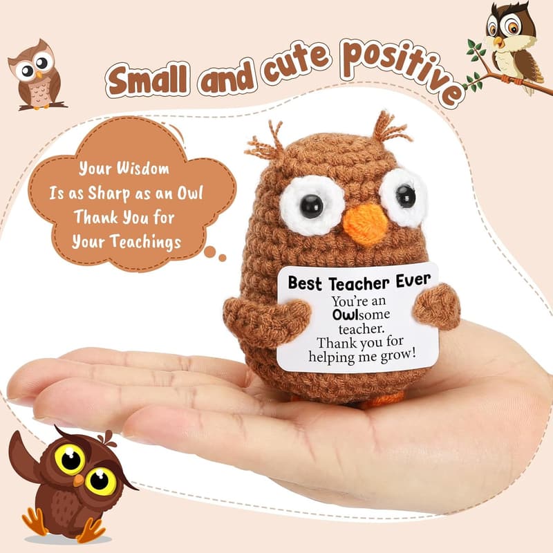 Teacher Appreciation Gift - Funny Crochet Owl for Educators