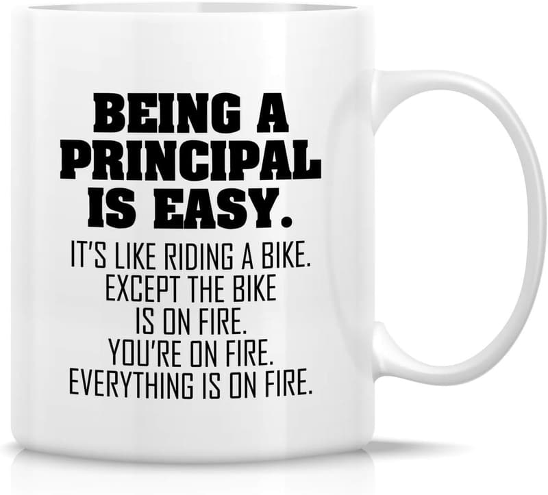 Funny Principal Mug - 