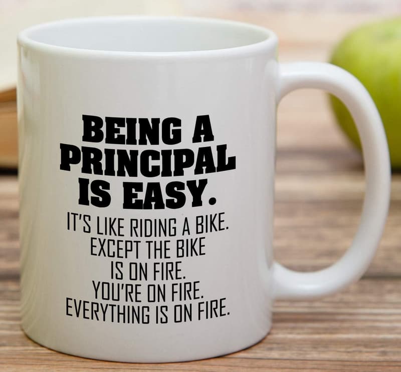 Funny Principal Mug - 