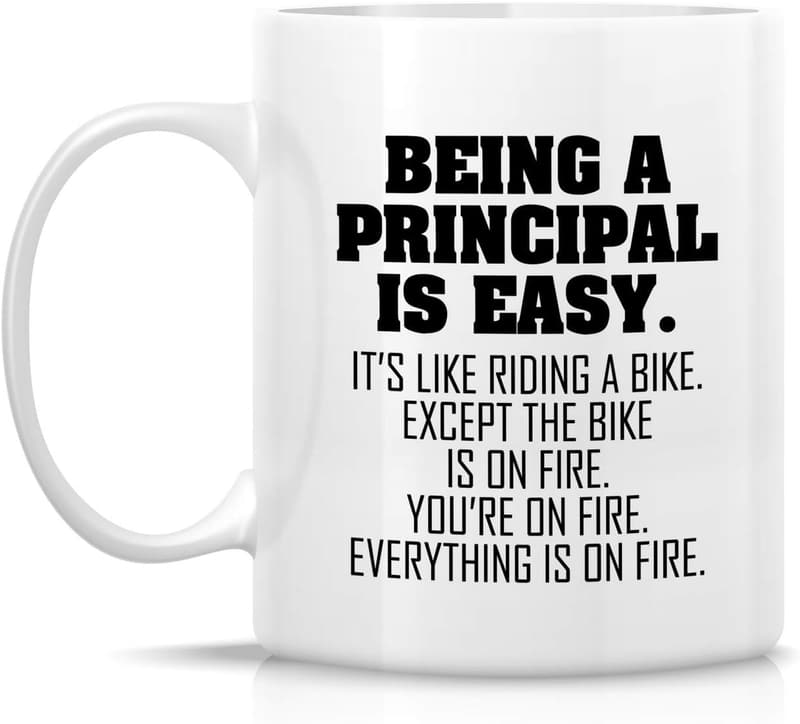 Funny Principal Mug - 