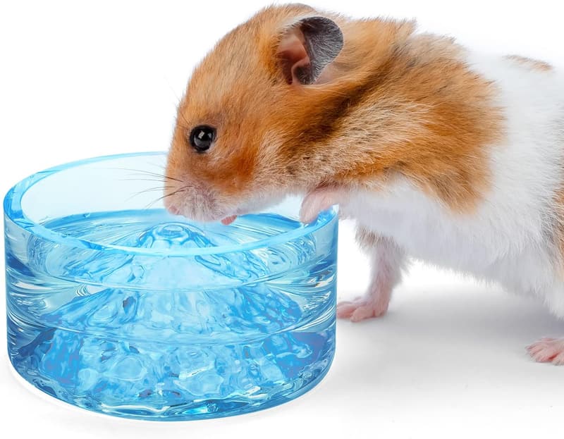 Mount Fuji Glass Bowls for Small Pets - Hamster Feeding & Water