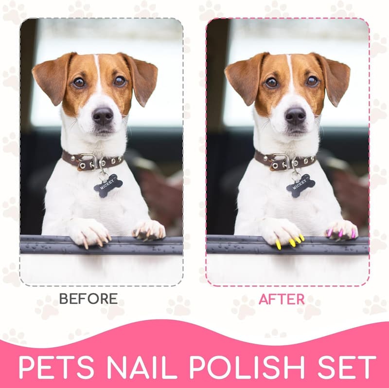 Dog Nail Polish Set for Quick Drying, Non-Toxic Fun