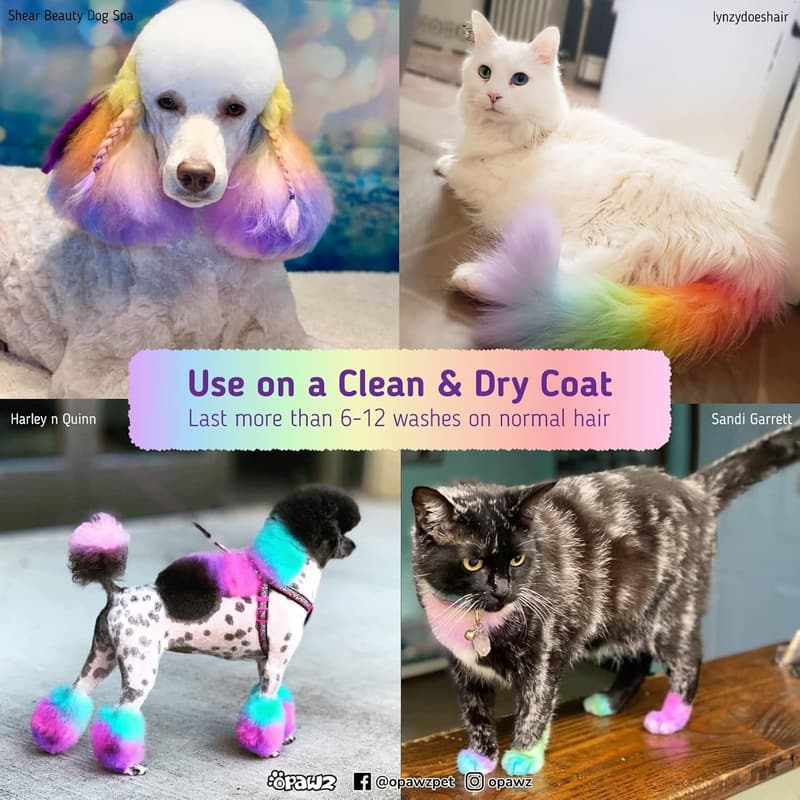 Non-Toxic Semi-Permanent Pet Hair Dye - Shocking Pink