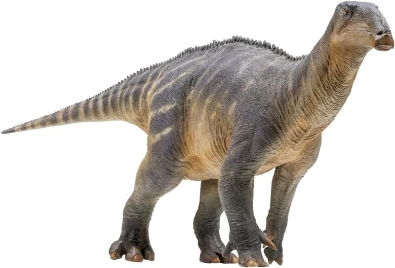 Harvey the Iguanodon 1:35 Scale Scientific Art Model