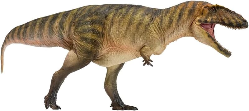 Carcharodontosaurus Dinosaur Model - Prehistoric Figure