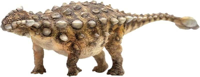 Sede Ankylosaurus Dinosaur Model - 8.3